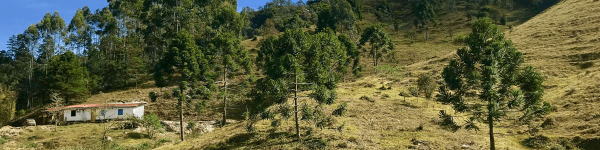 Vista do Sítio Sábio Sabiá