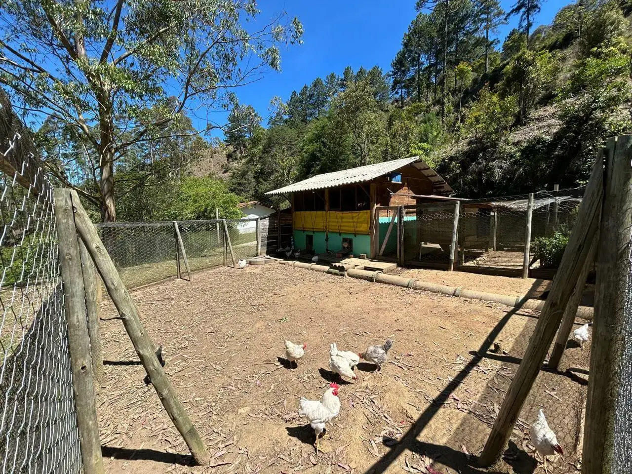 Área de piquete do sítio