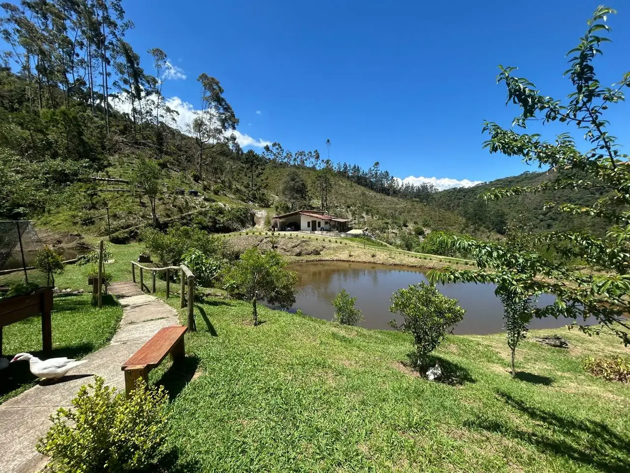 Vista aérea da casa, lago e relevo do sítio