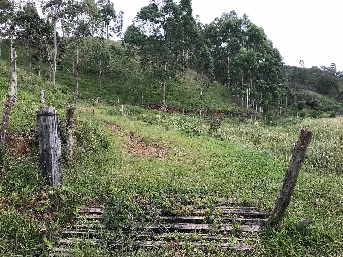 Entrada do Sítio em março de 2019