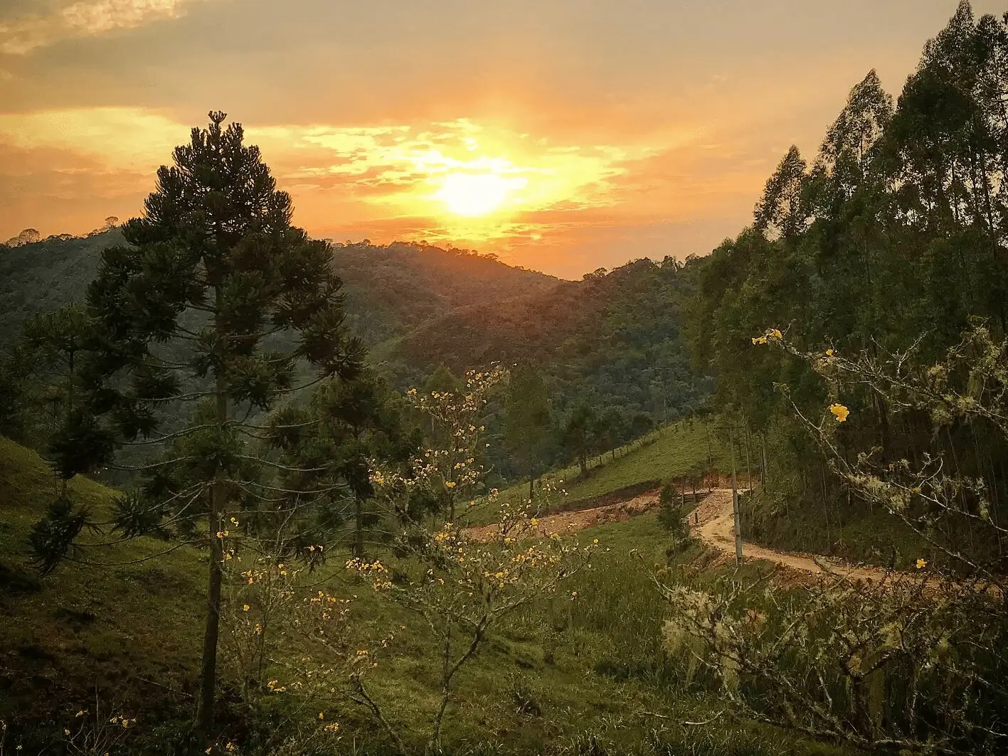 Vista da estrada com o nascer do sol ao fundo